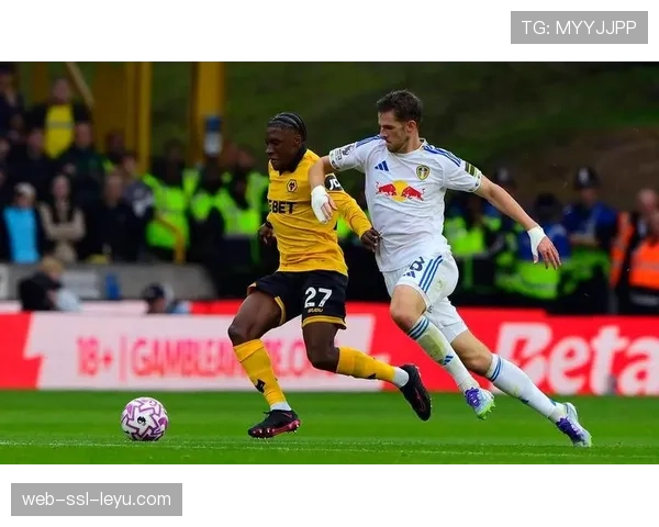 观点：年轻一代观赛习惯碎片化，德甲官方短视频内容策略是否跟上了时代？